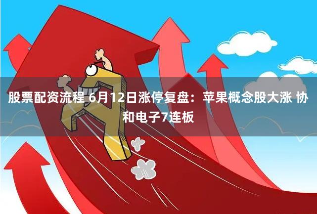 股票配资流程 6月12日涨停复盘：苹果概念股大涨 协和电子7连板