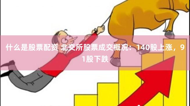 什么是股票配资 北交所股票成交概况：140股上涨，91股下跌
