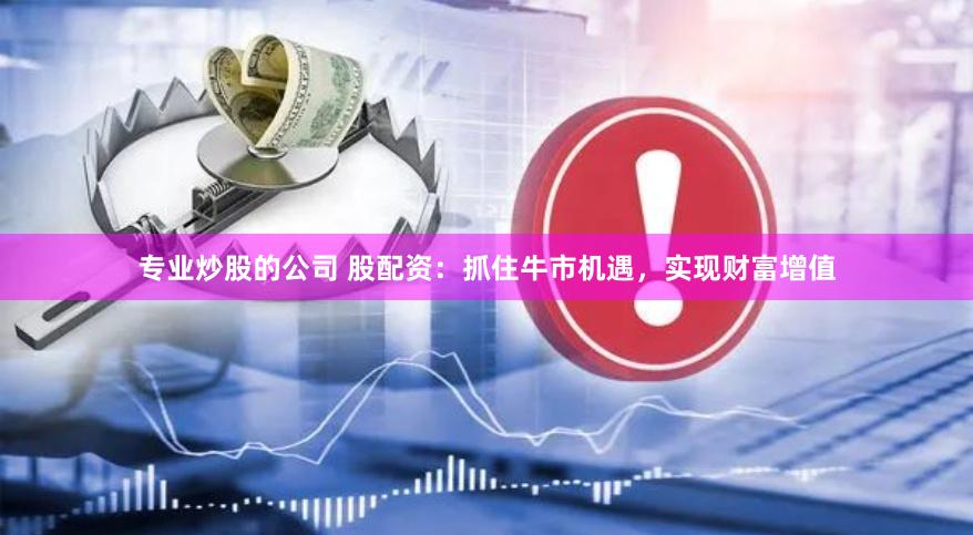 专业炒股的公司 股配资：抓住牛市机遇，实现财富增值